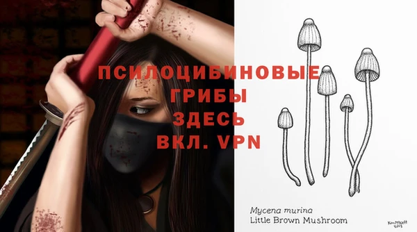 хмурый Козловка