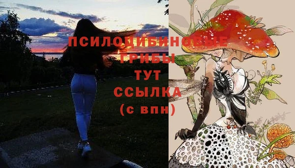 хмурый Козловка