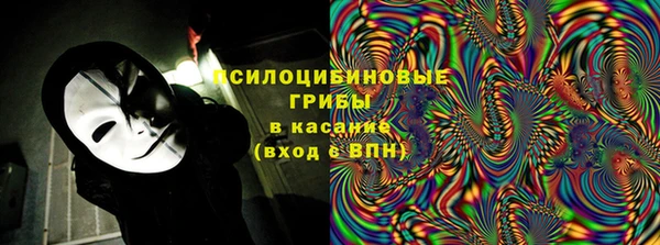 хмурый Козловка