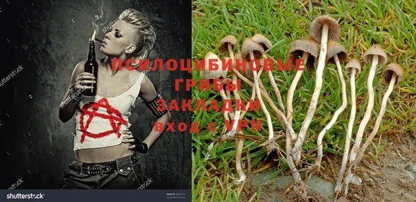 мяу мяу кристалл Козельск