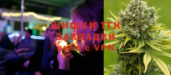 хмурый Козловка